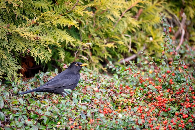 Bird perching on a plant