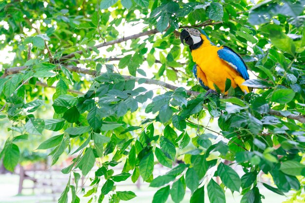 Bird perching on a tree