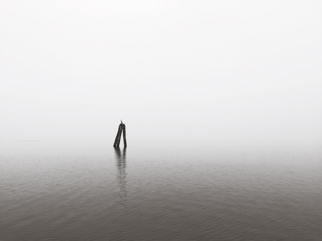 Photo bird perching on wooden post in sea against foggy sky