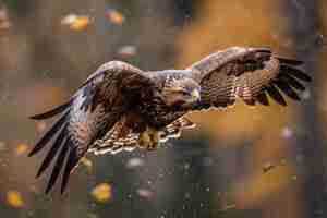 Photo a bird of prey soars through the air with its wings spread wide