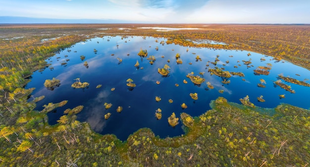 Bird's eye photo of a swamp