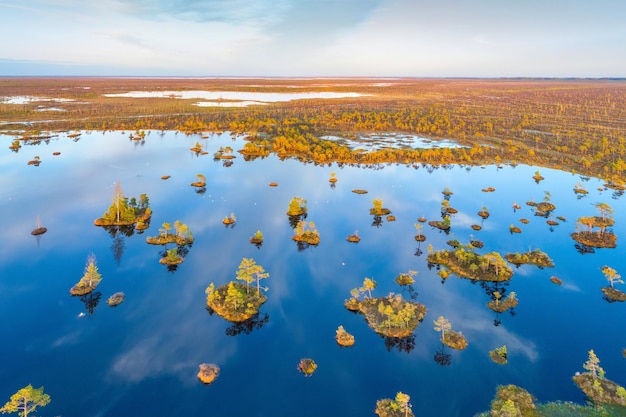 Bird's eye photo of a swamp