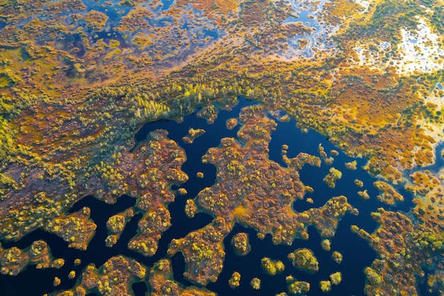 Bird's eye photo of a swamp