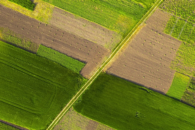 Bird's eye view of agriculture fields