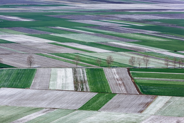 写真 野原と農業区画の鳥瞰図。航空写真。