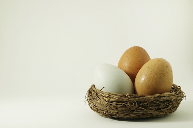 사진 새의 둥지는 흰색 장면에 계란.