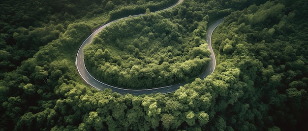 Bird'seye view of the road in the middle of the forestAerial view Panoramic shot Generative AI