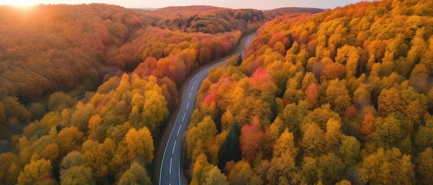 森の中の道路を俯瞰空撮 パノラマ撮影 ジェネレーティブAI