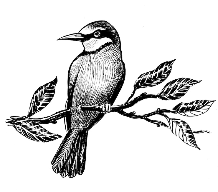 Photo bird sitting on a tree branch handdrawn ink black and white illustration