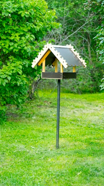 Bird and squirrel feeder installed in the park