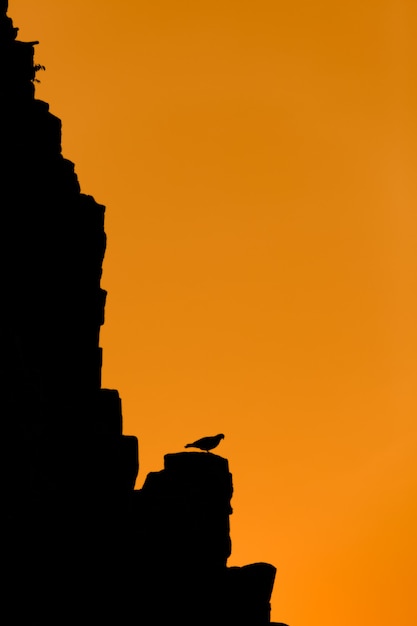 Bird stand on Pimai ancient city in north of Thailand at sunset