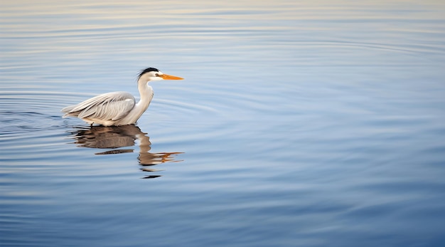 Foto un uccello in piedi nell'acqua