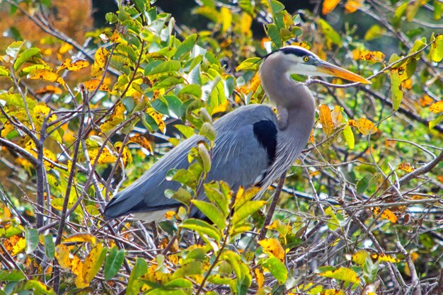 Bird on tree trunk