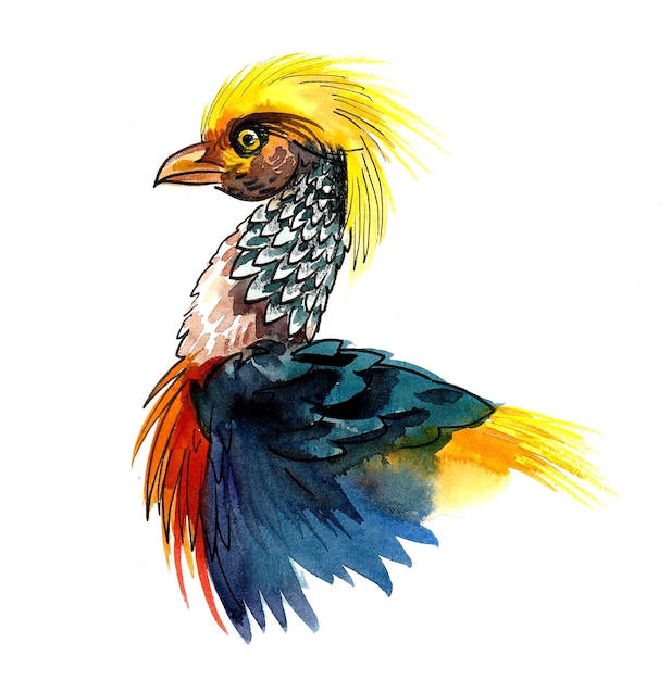 A bird with a yellow head and a red head is painted on a white background.