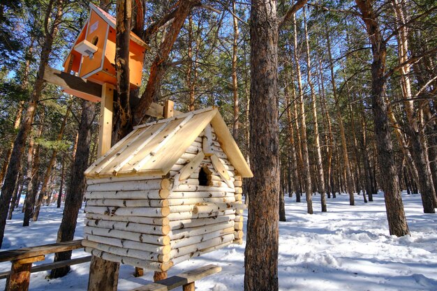 Birdhouse for birds and squirrels in winter pine forest