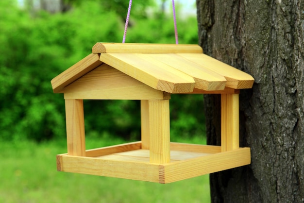 Birdhouse in garden outdoors