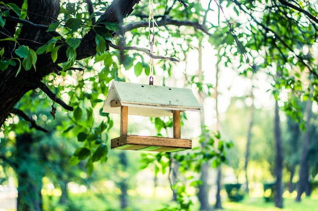 写真 木にぶら下がっている鳥屋