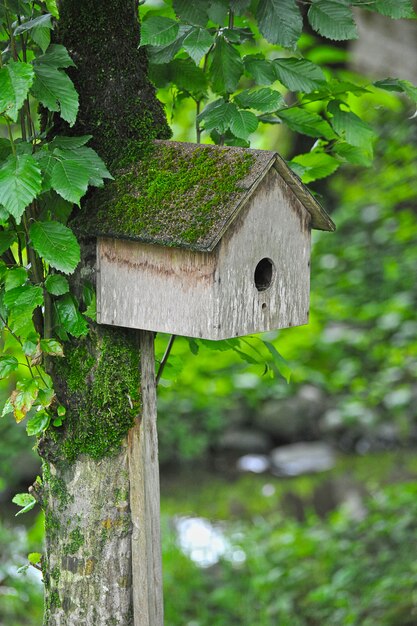 Foto birdhouse che appende su un albero