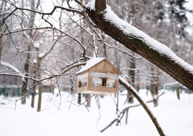 A birdhouse is hanging from a tree