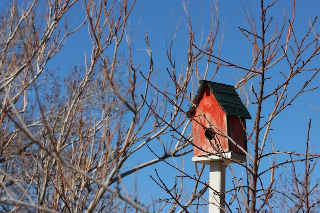 A birdhouse is in the trees and the sky is blue.