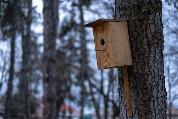 Birdhouse mounted on a tree