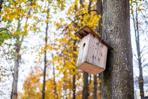 Birdhouse op de boom