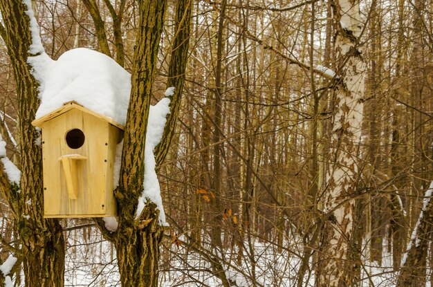 A birdhouse in a snowy forest with snow on the roof