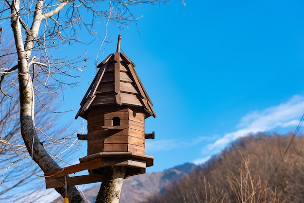 Birdhouse on a tall tree