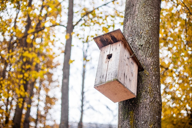 Birdhouse on the tree. Shelter for birds.