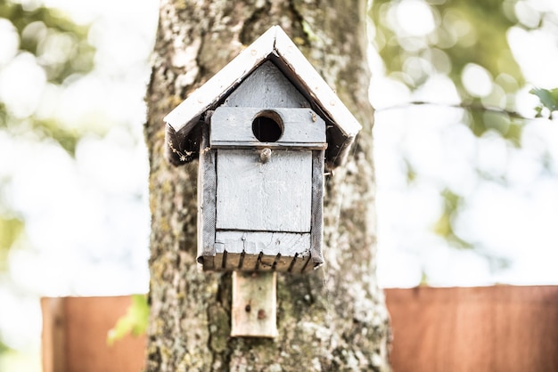 Photo birdhouse on tree trunk