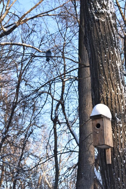 Birdhouse in winter park