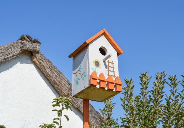 Birdhouses the houses for birds Decorated birdhouses and ornamented