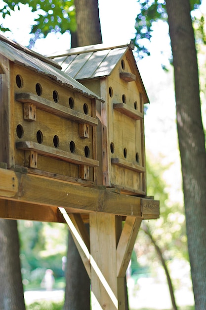 Birdhouses on a tree