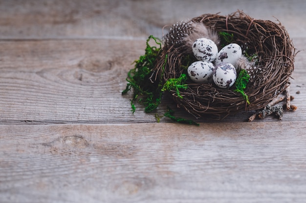 Birds eggs in nest on rustic wooden background, Easter concept postcard