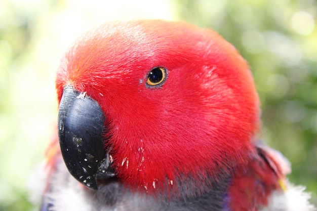 鳥の目から見る