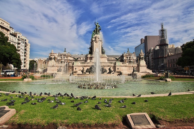 Birds flight in Buenos Aires, Argentina