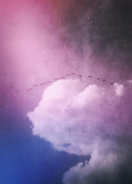 Photo birds flying across clouds and starlight sky photo