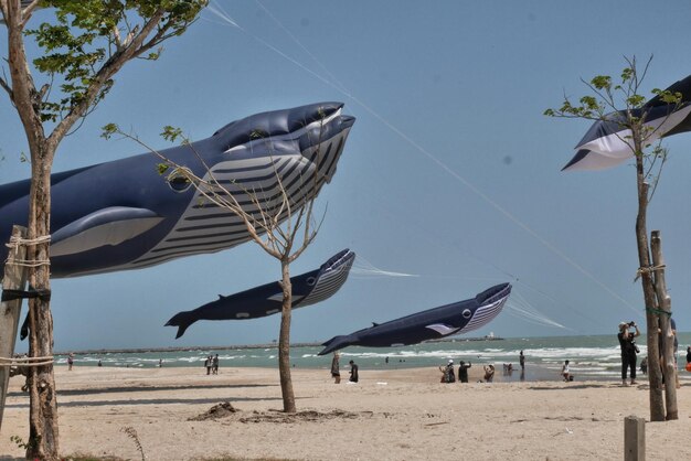 Birds flying over beach against sky