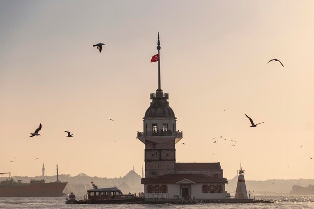 Photo birds flying in a building