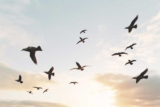 Birds flying in formation against the sky