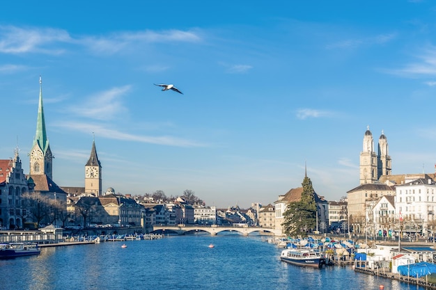 birds flying over river in city against sky