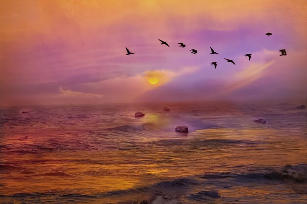 Photo birds flying over sea during sunset