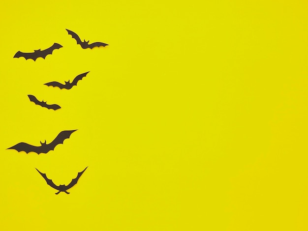 Birds flying in the sky