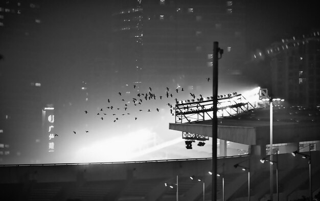 Foto uccelli che volano sopra lo stadio di tianhe di notte