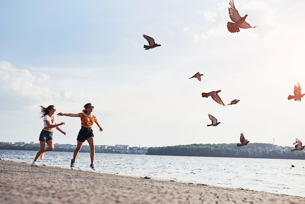 Birds flying up in the air. two female friends runs and have\
fun at beach near the lake at sunny daytime.