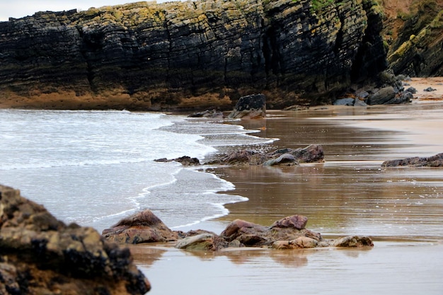 Photo birds on rocks at shore