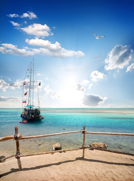 Foto uccelli su barca a vela vicino alla spiaggia sabbiosa