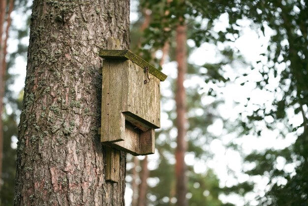 木製の鳥の家 古い木で作られた鳥の巣