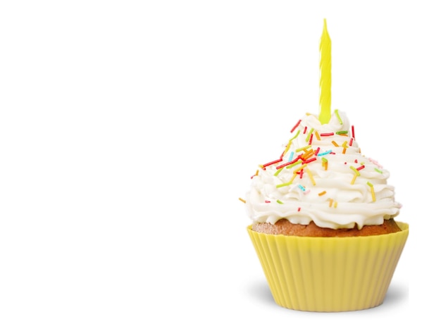 Birthday cupcake with candle