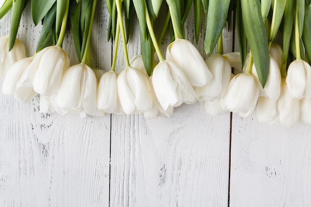 Birthday present, natural white tulips on white board background